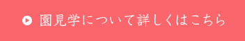詳しくはこちら